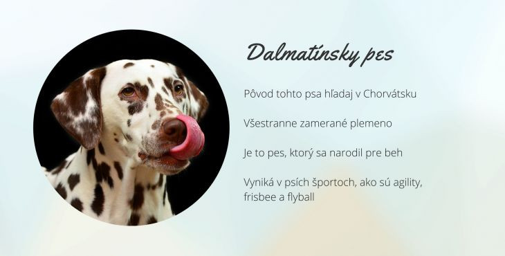 Dalmatínsky pes (Dalmatinski pas, dalmatín)