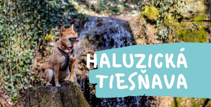 Tip na výlet so psom - Haluzická tiesňava