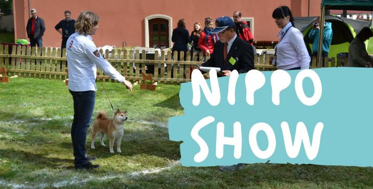 Počul si už o Nippo show? 