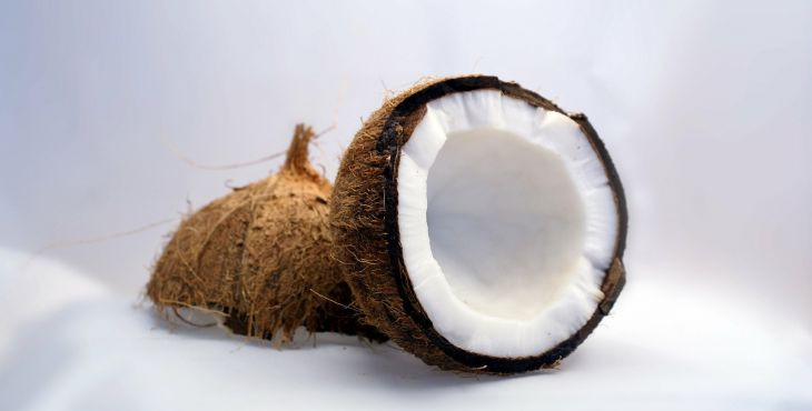 Aké účinky má kokosové mlieko na organizmus psa?