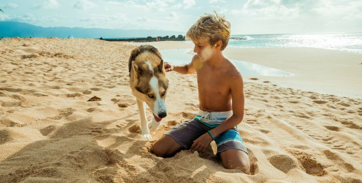 10 tipov pre perfektnú dovolenku pri mori so psom