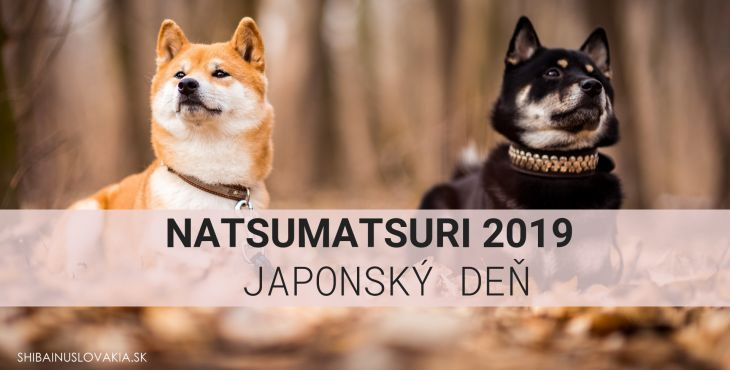 [POZVÁNKA] Rozprávanie o japonskom plemene shiba inu - NATSUMATSURI Japonský deň 2019