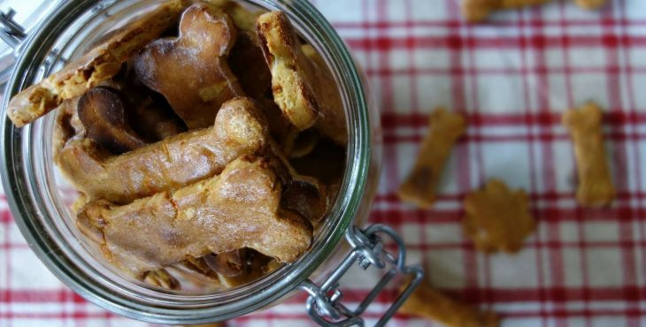 Jabĺčkové koláčiky so zázvorom nie len pre psov