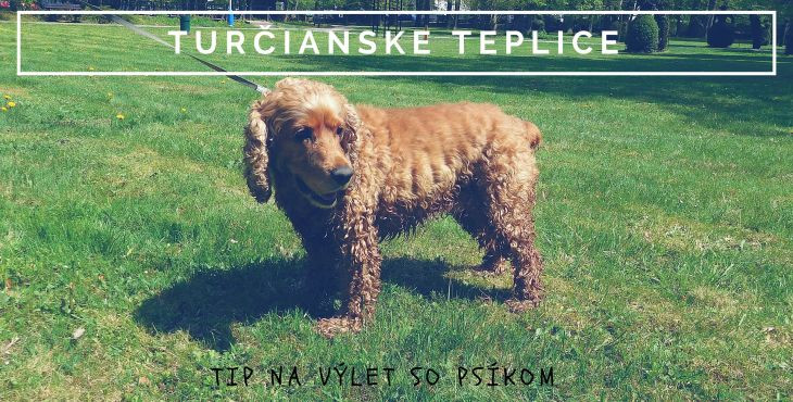 Tip na výlet so psíkom: Turčianske Teplice