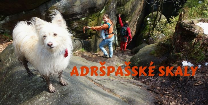 Tip na výlet so psom: Adršpašské skaly