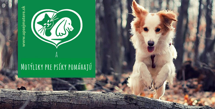 Občianske združenie U psej matere Pezinok