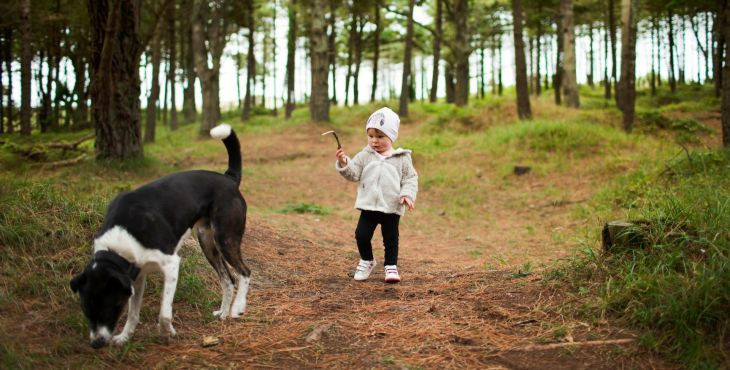 Puto priateľstva medzi psom a dieťaťom? Prečo nie! Druhá časť: Výchova psa.