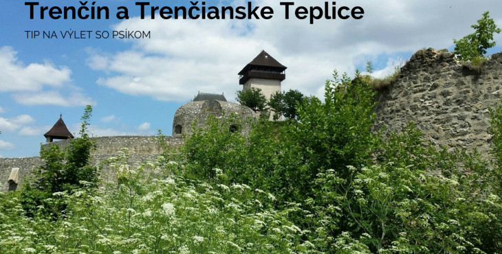 Tip na výlet so psom: Trenčín a Trenčianske Teplice
