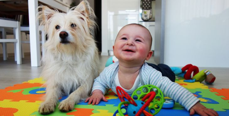 Odborníci odhalili, prečo sa prihovárame rovnako roztomilým hlasom deťom aj psom 