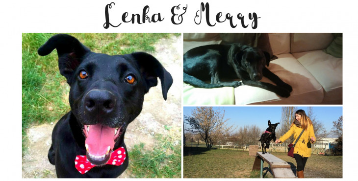 Príbehy so šťastným koncom: Lenka a Merry