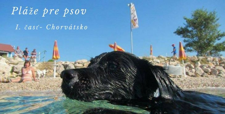 Pláže vhodné pre psíkov v Chorvátsku