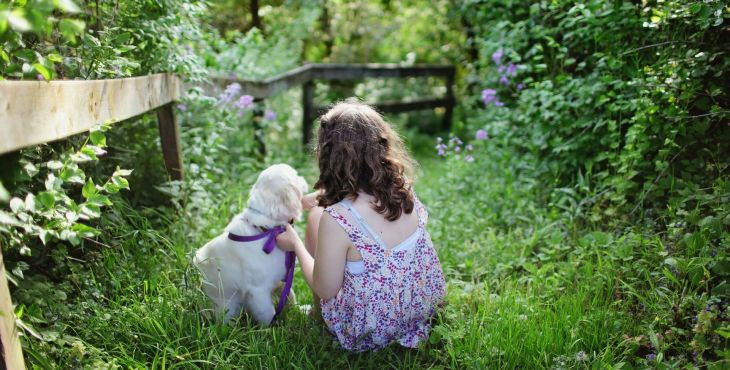 10 zelených pokladov v boji proti psím alergiám