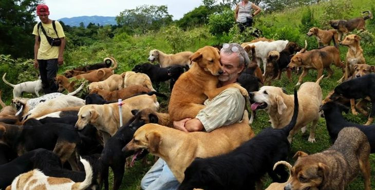 Raj pre všetkých milovníkov psov - Territorio de Zaguates