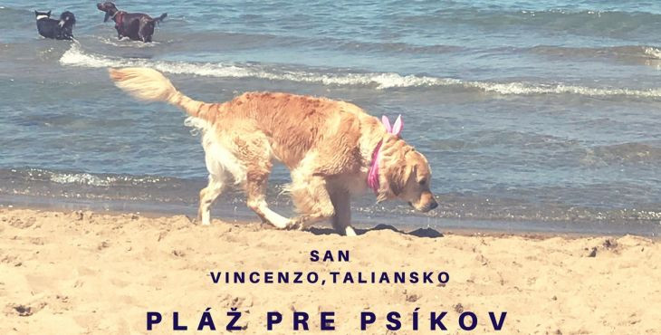 Pláž pre psov v San Vincenzo, Taliansko