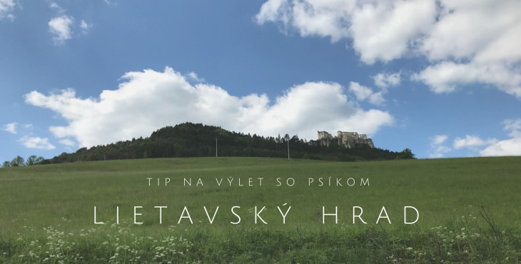 Tip na výlet so psom: Lietavský hrad