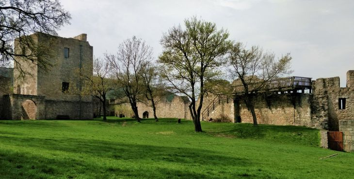 Tip na výlet so psom: Zrúcanina hradu Hainburg