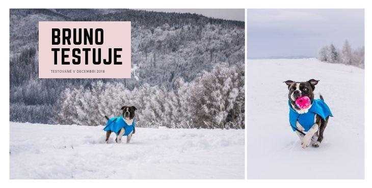 Ako obstála v teste zimná bunda pre psa Ruffwear Vert jacket™, inšpirovaná horskými vodcami a ich ps