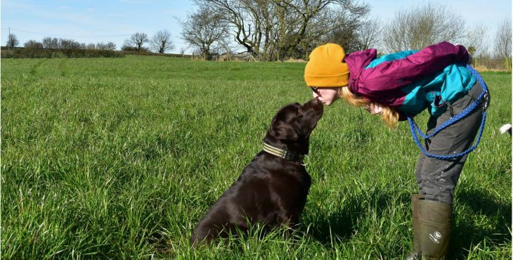 Ako začať tréning so psom? Pravidlá sú základ!